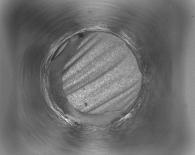 X0000067840193200605041658