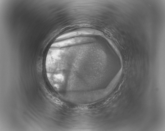 X0000067840194200605041658