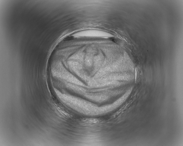 X0000067840195200605041658