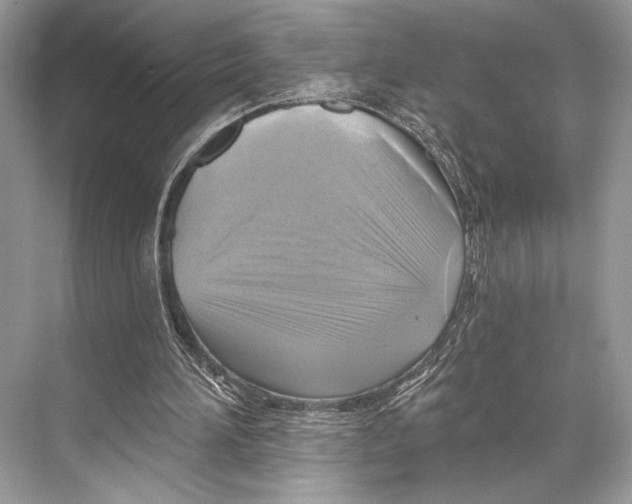 X0000067840196200605041658