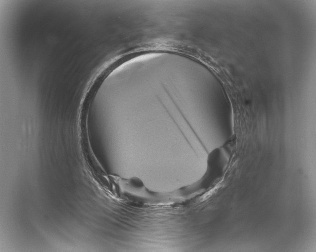 X0000067840200200605041658