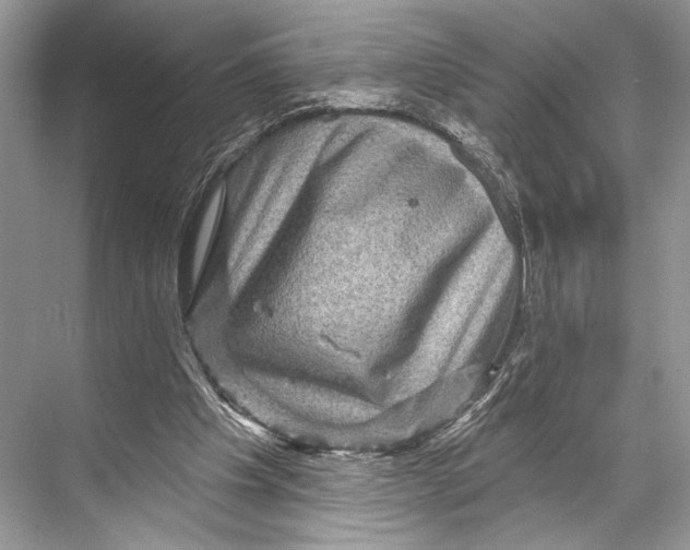 X0000067840201200605041658