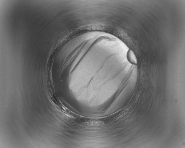 X0000067840202200605041658