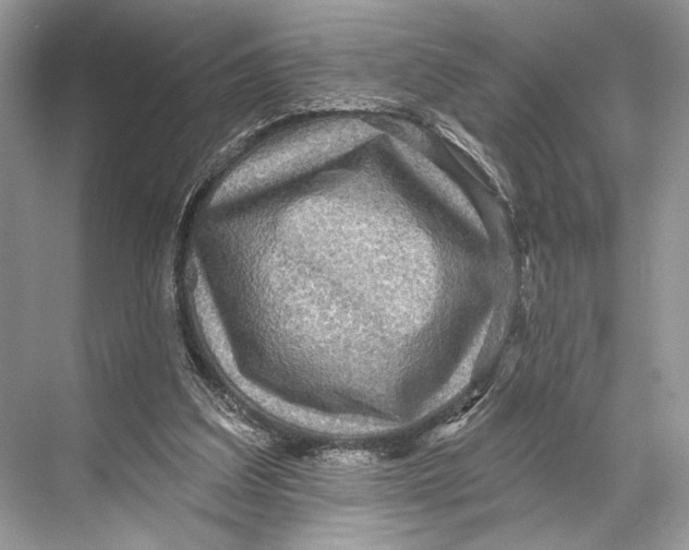 X0000067840203200605041658