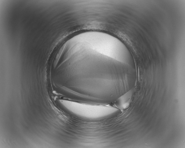 X0000067840204200605041658