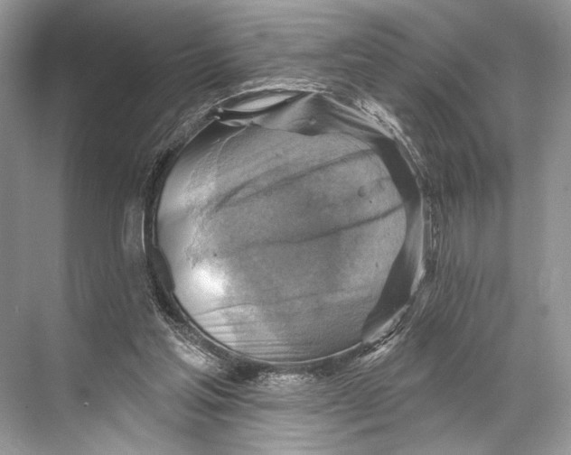 X0000067840205200605041658