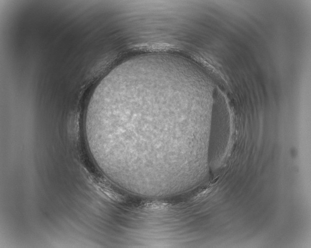 X0000067840206200605041658