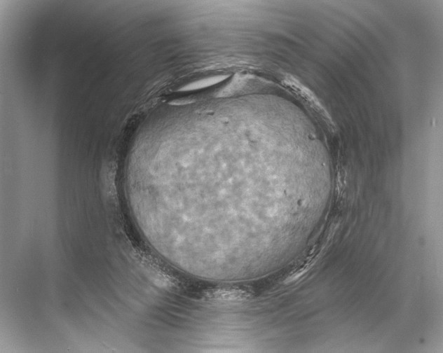 X0000067840209200605041658