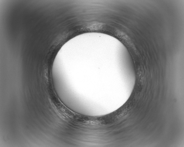 X0000067840212200605041658