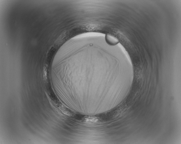 X0000067840214200605041658