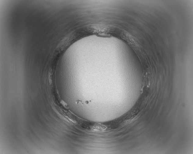 X0000067840215200605041658