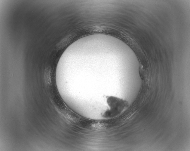 X0000067840216200605041658