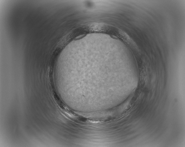 X0000067840217200605041658