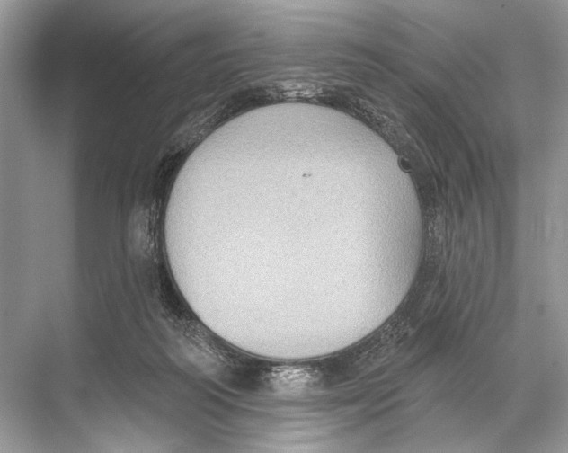 X0000067840218200605041658