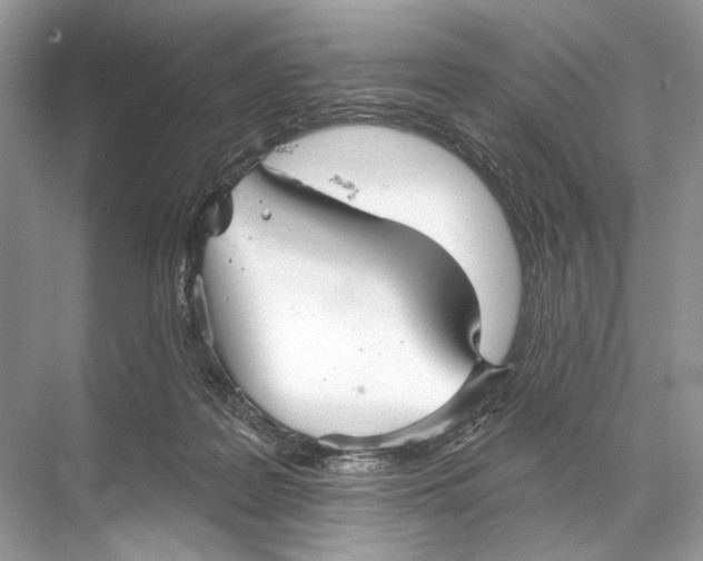 X0000067840219200605041658