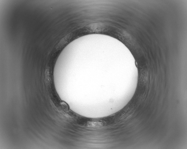 X0000067840220200605041658