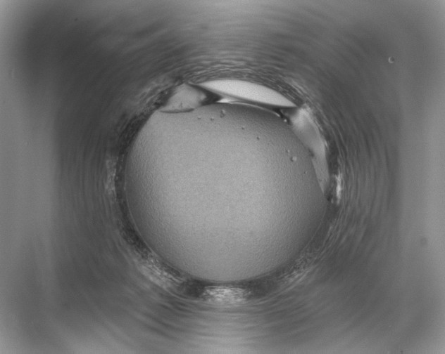 X0000067840221200605041658