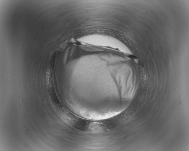 X0000067840222200605041658