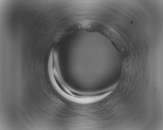 X0000067840223200605041658