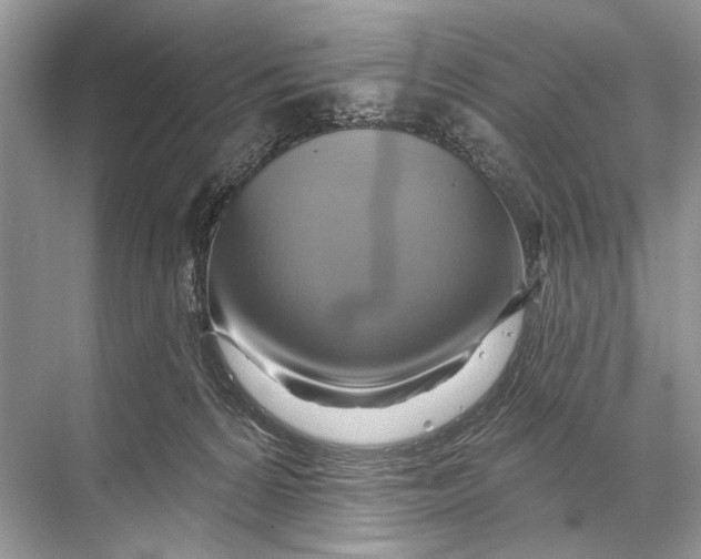 X0000067840224200605041657