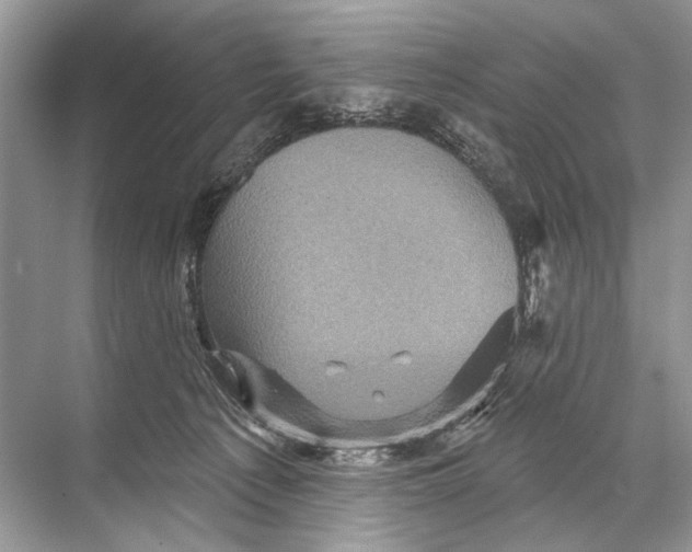 X0000067840225200605041657