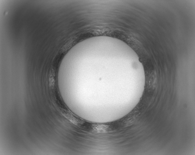 X0000067840226200605041657