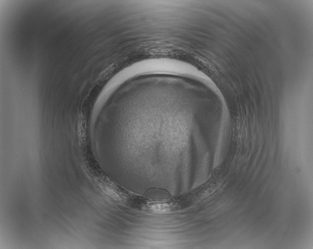 X0000067840228200605041657