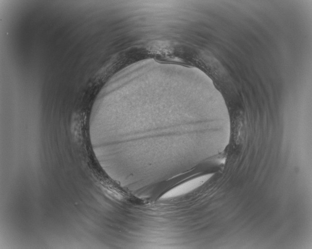 X0000067840229200605041657