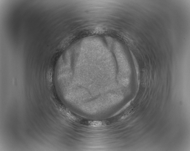 X0000067840230200605041657