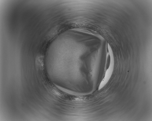 X0000067840232200605041657