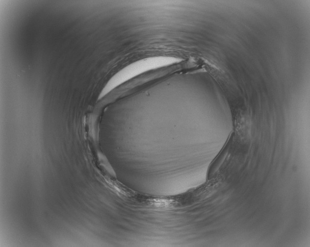 X0000067840233200605041657