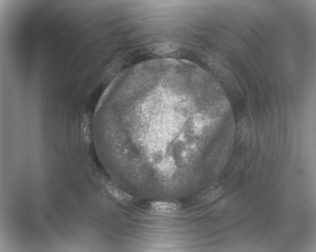 X0000067840234200605041657