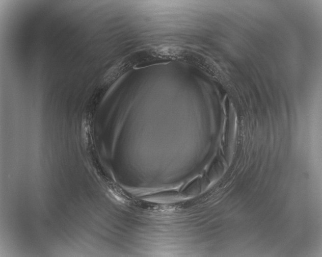 X0000067840235200605041657