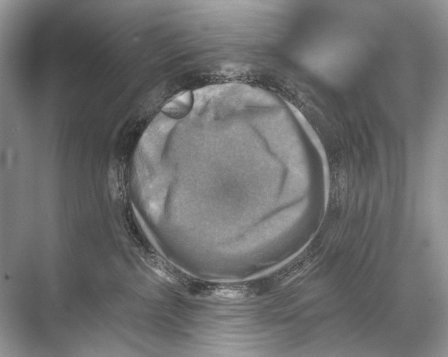 X0000067840236200605041657