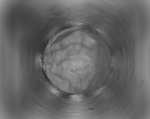 X0000067840238200605041657