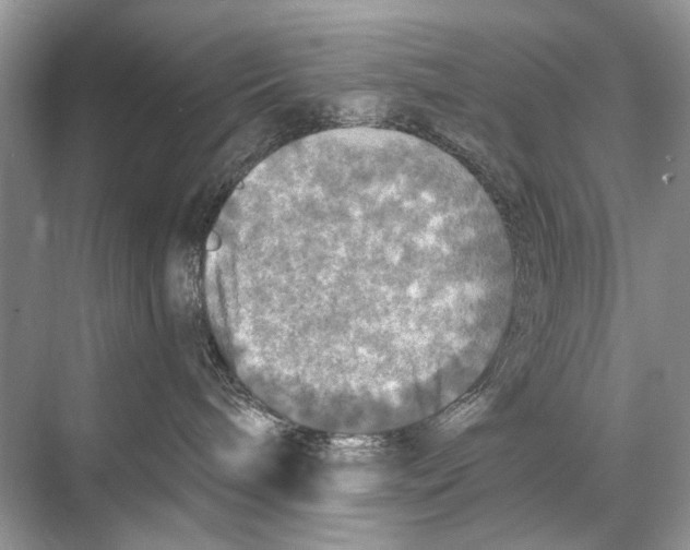 X0000067840240200605041657