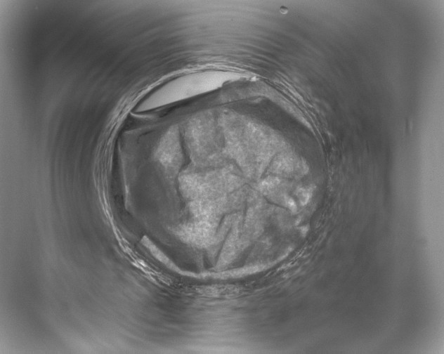 X0000067840241200605041656