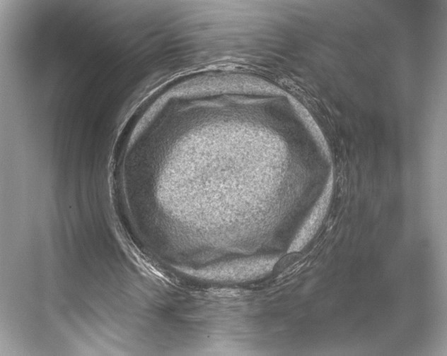 X0000067840242200605041656