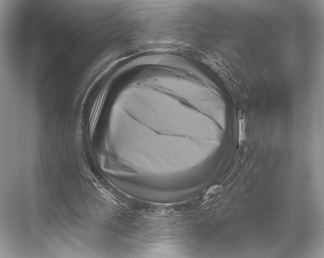 X0000067840243200605041656