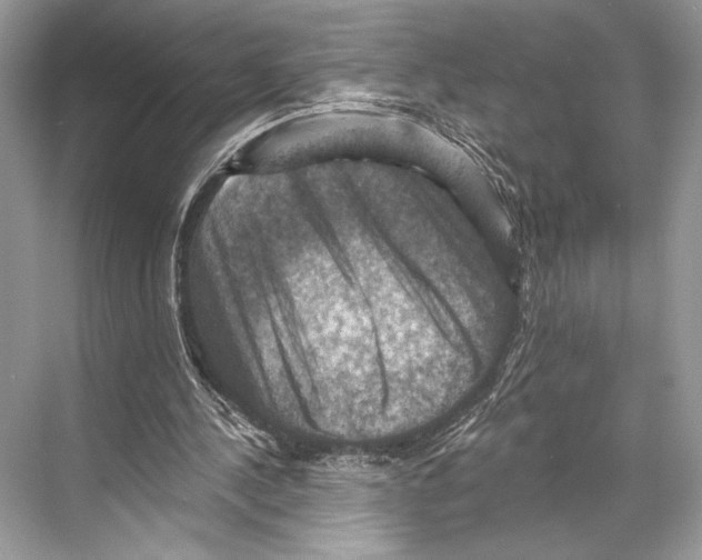 X0000067840244200605041656