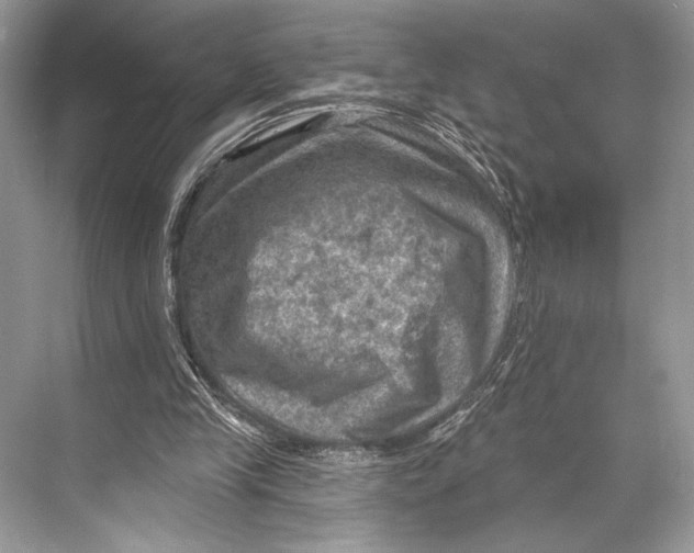 X0000067840245200605041656