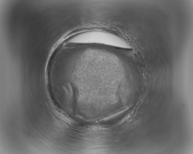 X0000067840246200605041656