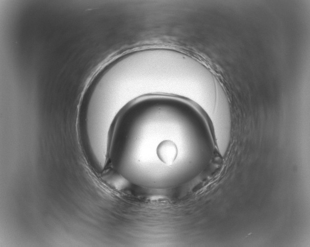 X0000067840248200605041657