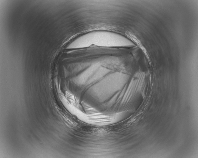 X0000067840249200605041657