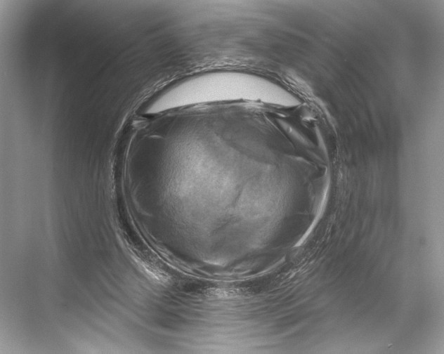 X0000067840250200605041657