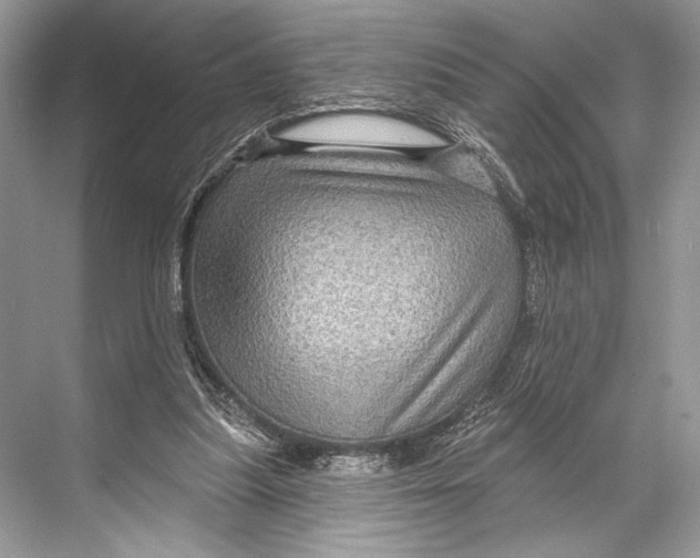 X0000067840251200605041657