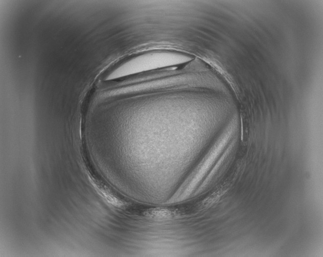 X0000067840253200605041657