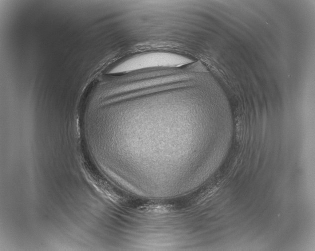 X0000067840254200605041657