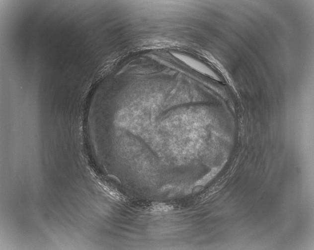 X0000067840257200605041657