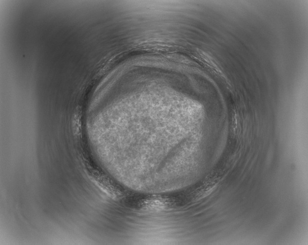 X0000067840259200605041657